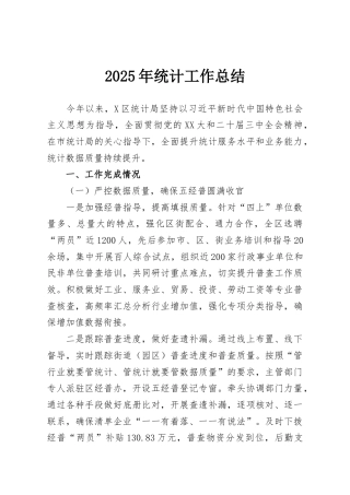 2025年统计工作总结
