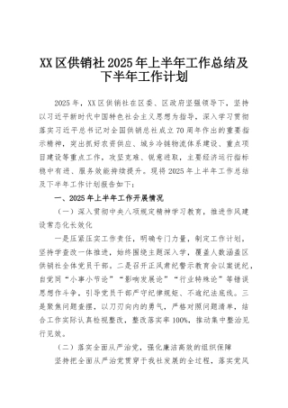 XX区供销社2025年上半年工作总结及下半年工作计划