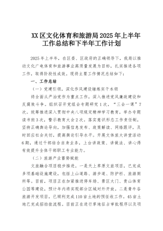 XX区文化体育和旅游局2025年上半年工作总结和下半年工作计划