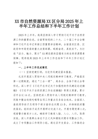 XX市自然资源局XX区分局2025年上半年工作总结和下半年工作计划