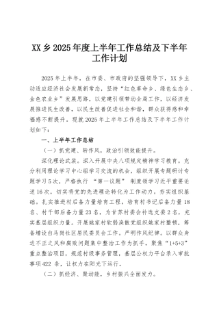 XX乡2025年度上半年工作总结及下半年工作计划