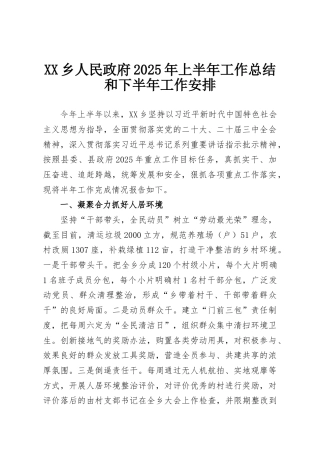XX乡人民政府2025年上半年工作总结和下半年工作安排