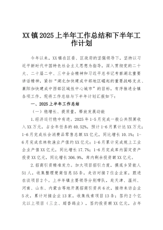 XX镇2025上半年工作总结和下半年工作计划