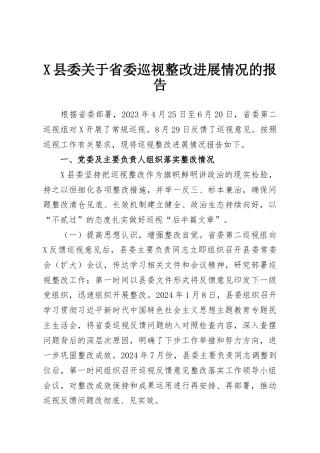 X县委关于省委巡视整改进展情况的报告