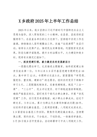 X乡政府2025年上半年工作总结