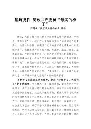 锤炼党性 绽放共产党员“最美的样子”