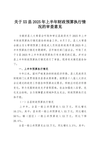 关于XX县2025年上半年财政预算执行情况的审查意见