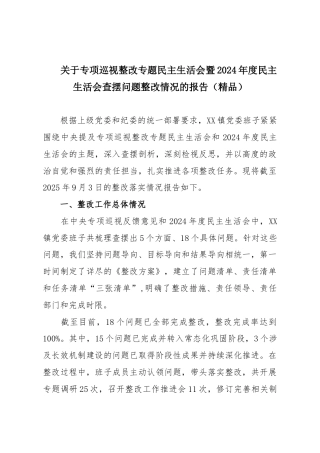 关于专项巡视整改专题民主生活会暨2024年度民主生活会查摆问题整改情况的报告（精品）