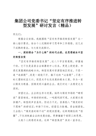 集团公司党委书记“坚定有序推进转型发展”研讨发言（精品）