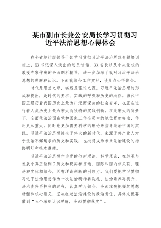 某市副市长兼公安局长学习贯彻习近平法治思想心得体会