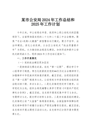 某市公安局2024年工作总结和2025年工作计划