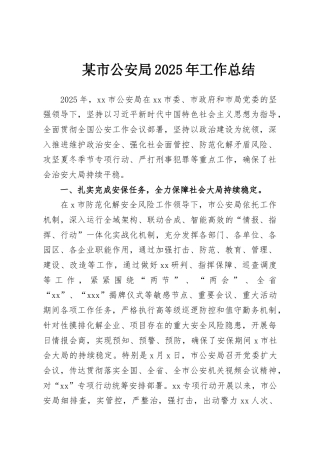 某市公安局2025年工作总结