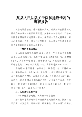 某县人民法院关于队伍建设情况的调研报告