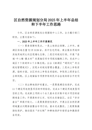 区自然资源规划分局2025年上半年总结和下半年工作思路
