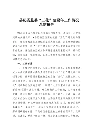 县纪委监委“三化”建设年工作情况总结报告
