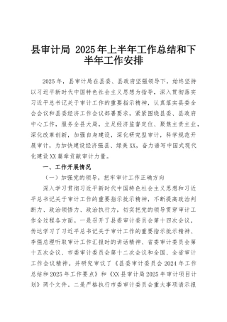 县审计局 2025年上半年工作总结和下半年工作安排