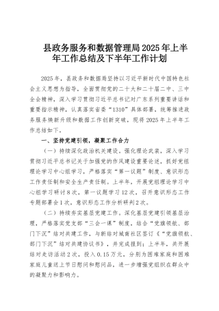 县政务服务和数据管理局2025年上半年工作总结及下半年工作计划