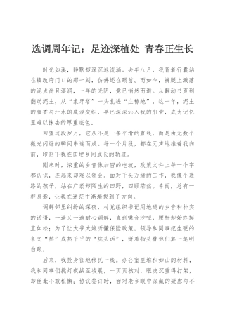 选调周年记：足迹深植处 青春正生长