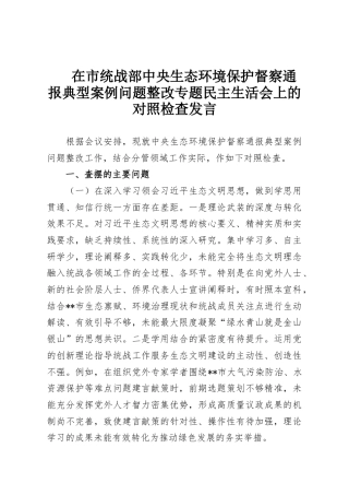 在市统战部中央生态环境保护督察通报典型案例问题整改专题民主生活会上的对照检查发言