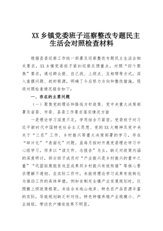 XX乡镇党委班子巡察整改专题民主生活会对照检查材料