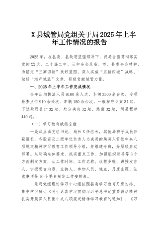 X县城管局党组关于局2025年上半年工作情况的报告