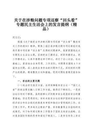 关于在涉粮问题专项巡察“回头看”专题民主生活会上的发言提纲（精品）