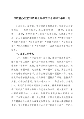 ‌市政府办公室2025年上半年工作总结和下半年计划