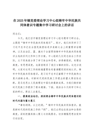 在2025年镇党委理论学习中心组铸牢中华民族共同体意识专题集中学习研讨会上的讲话