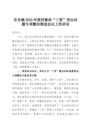 在全镇2025年度村集体“三资”突出问题专项整治推进会议上的讲话