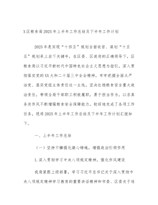 X区粮食局2025年上半年工作总结及下半年工作计划