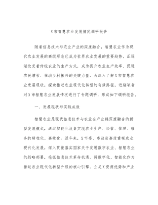 X市智慧农业发展情况调研报告
