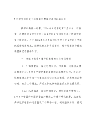 X中学党组织关于巡察集中整改进展情况的报告
