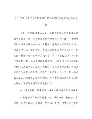 关于2025年度优秀年轻干部下沉街道实践锻炼工作的总结报告