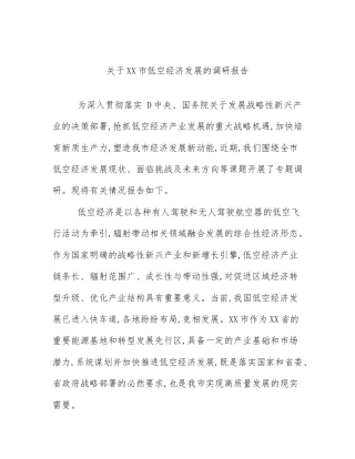 关于XX市低空经济发展的调研报告