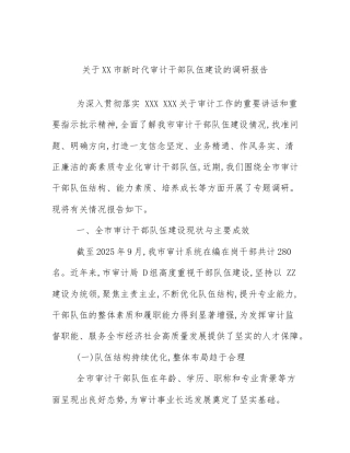 关于XX市新时代审计干部队伍建设的调研报告