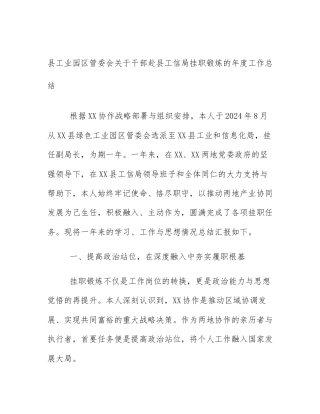 县工业园区管委会关于干部赴县工信局挂职锻炼的年度工作总结