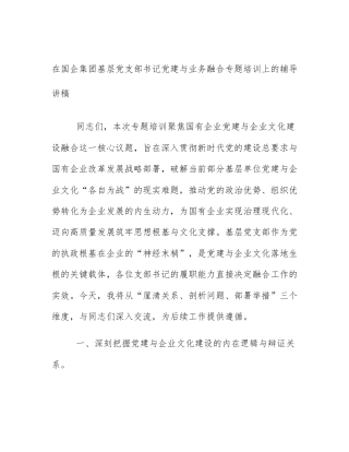 在国企集团基层党支部书记党建与业务融合专题培训上的辅导讲稿
