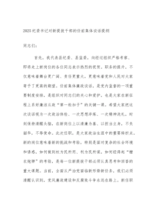 2025纪委书记对新提拔干部的任前集体谈话提纲