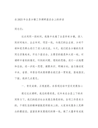 在2025年全县乡镇工作调研座谈会上的讲话