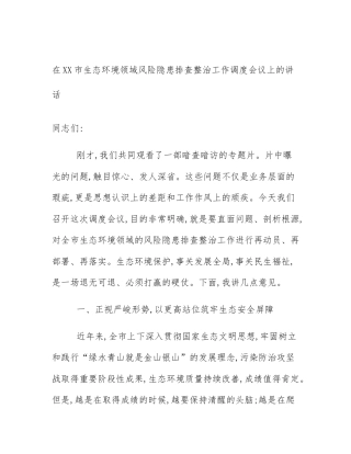在XX市生态环境领域风险隐患排查整治工作调度会议上的讲话
