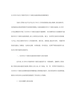 XX市审计局关于新时代审计干部队伍建设情况的调研报告