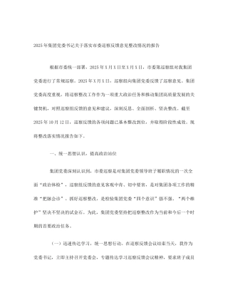 2025年集团党委书记关于落实市委巡察反馈意见整改情况的报告