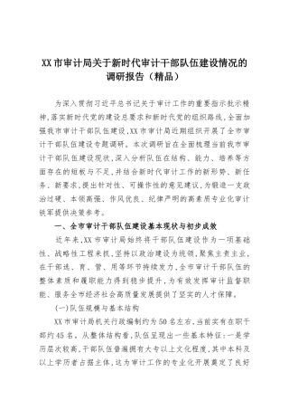 XX市审计局关于新时代审计干部队伍建设情况的调研报告（精品）