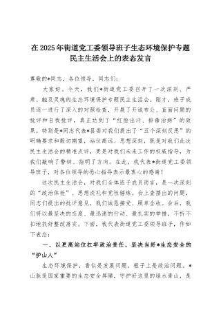 在2025年街道党工委领导班子生态环境保护专题民主生活会上的表态发言