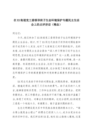 在XX街道党工委领导班子生态环境保护专题民主生活会上的点评讲话（精品）