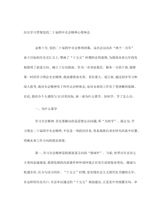 区长学习贯彻党的二十届四中全会精神心得体会