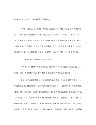 市委书记学习党的二十届四中全会精神体会