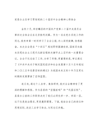党委办主任学习贯彻党的二十届四中全会精神心得体会