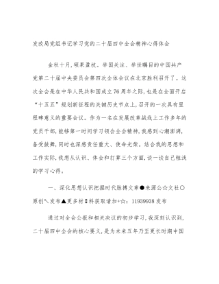 发改局党组书记学习党的二十届四中全会精神心得体会