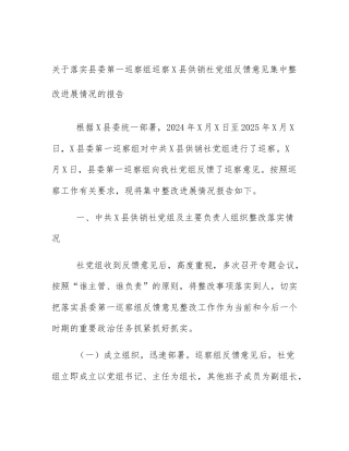 关于落实县委第一巡察组巡察X县供销社党组反馈意见集中整改进展情况的报告